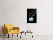 Load image into Gallery viewer, Canvas print Beware jellyfish
