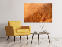 Load image into Gallery viewer, Canvas print tree rings
