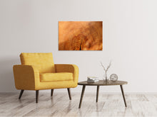 Load image into Gallery viewer, Canvas print tree rings

