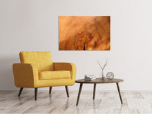 Load image into Gallery viewer, Canvas print tree rings
