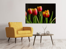 Load image into Gallery viewer, Canvas print Colorful tulips
