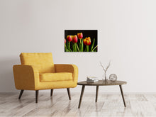 Load image into Gallery viewer, Canvas print Colorful tulips
