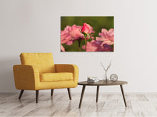 Load image into Gallery viewer, Canvas print The rosebud
