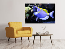 Load image into Gallery viewer, Canvas print The Weisskehl doctorfish fish
