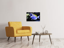 Load image into Gallery viewer, Canvas print The Weisskehl doctorfish fish
