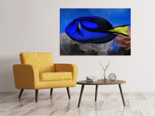 Load image into Gallery viewer, Canvas print The pallet doctorfish
