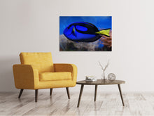 Load image into Gallery viewer, Canvas print The pallet doctorfish
