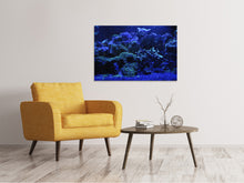 Load image into Gallery viewer, Canvas print Coral reef in blue
