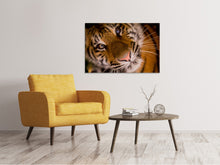 Load image into Gallery viewer, Canvas print Tiger face
