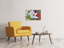 Load image into Gallery viewer, Canvas print Magnificent lily in white
