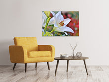 Load image into Gallery viewer, Canvas print Magnificent lily in white

