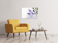 Load image into Gallery viewer, Canvas print Lily flower in purple
