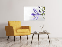 Load image into Gallery viewer, Canvas print Lily flower in purple
