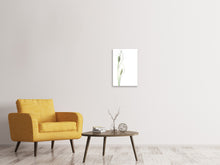 Load image into Gallery viewer, Canvas print Lily seed pods
