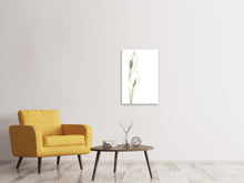 Load image into Gallery viewer, Canvas print Lily seed pods

