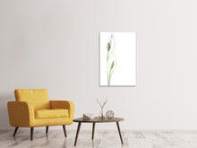 Load image into Gallery viewer, Canvas print Lily seed pods
