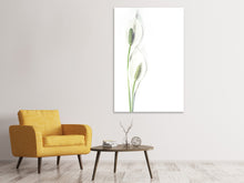 Load image into Gallery viewer, Canvas print Lily seed pods
