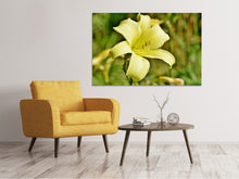 Load image into Gallery viewer, Canvas print Lilies blossom in yellow
