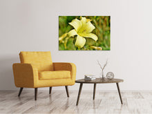 Load image into Gallery viewer, Canvas print Lilies blossom in yellow

