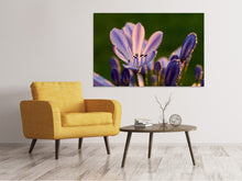 Load image into Gallery viewer, Canvas print Ornamental lilies with morning dew
