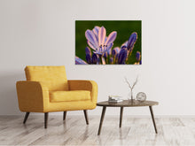 Load image into Gallery viewer, Canvas print Ornamental lilies with morning dew
