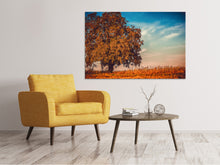 Load image into Gallery viewer, Canvas print The nut Tree

