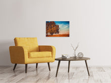 Load image into Gallery viewer, Canvas print The nut Tree
