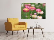 Load image into Gallery viewer, Canvas print Flowers of spring

