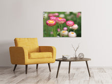 Load image into Gallery viewer, Canvas print Flowers of spring
