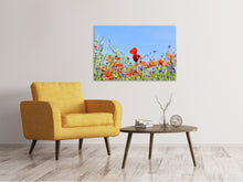 Load image into Gallery viewer, Canvas print The poppy in the flower meadow
