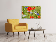 Load image into Gallery viewer, Canvas print The wild poppy XL

