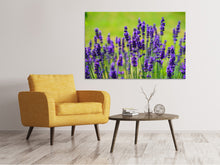 Load image into Gallery viewer, Canvas print Beautiful lavender
