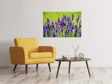 Load image into Gallery viewer, Canvas print Beautiful lavender
