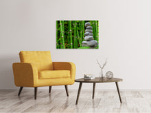 Load image into Gallery viewer, Canvas print XL Feng Shui

