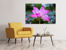 Load image into Gallery viewer, Canvas print Beautiful lotus
