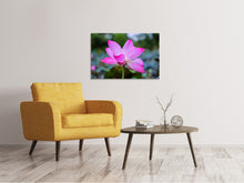 Load image into Gallery viewer, Canvas print Beautiful lotus
