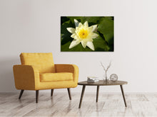 Load image into Gallery viewer, Canvas print The water lily in yellow
