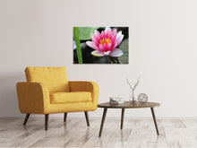 Load image into Gallery viewer, Canvas print The water lily in pink
