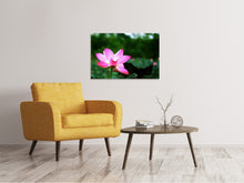Load image into Gallery viewer, Canvas print Lotus in nature
