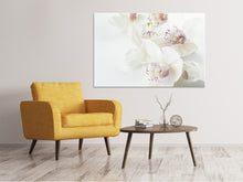 Load image into Gallery viewer, Canvas print Fantastic orchids
