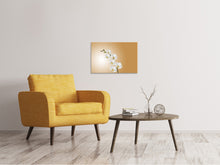 Load image into Gallery viewer, Canvas print White orchids XL
