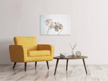 Load image into Gallery viewer, Canvas print Graceful orchids
