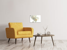 Load image into Gallery viewer, Canvas print Orchids bloom
