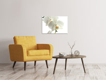 Load image into Gallery viewer, Canvas print Orchids bloom
