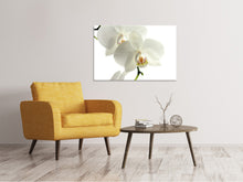 Load image into Gallery viewer, Canvas print Orchids bloom

