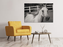 Load image into Gallery viewer, Canvas print There is a horse
