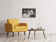 Load image into Gallery viewer, Canvas print There is a horse
