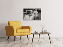 Load image into Gallery viewer, Canvas print There is a horse
