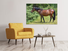 Load image into Gallery viewer, Canvas print Strong horse
