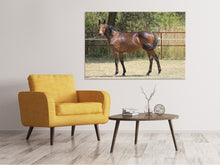 Load image into Gallery viewer, Canvas print Magnificent thoroughbred

